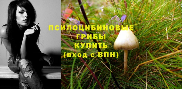соль курить ск Белокуриха