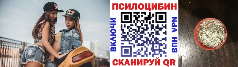 купить   Буинск  Псилоцибиновые грибы Cubensis 